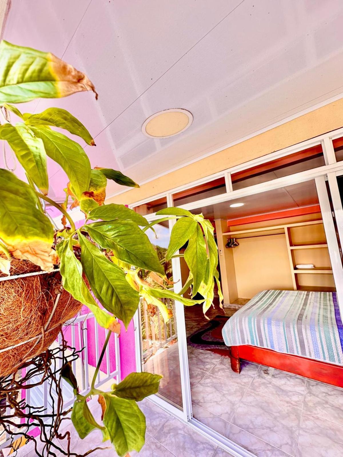 Posada Seven Colours Ocean Providencia  Экстерьер фото